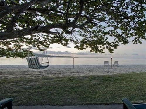Paradise Beachfront Villas Rio Bueno Harbour Buitenkant foto